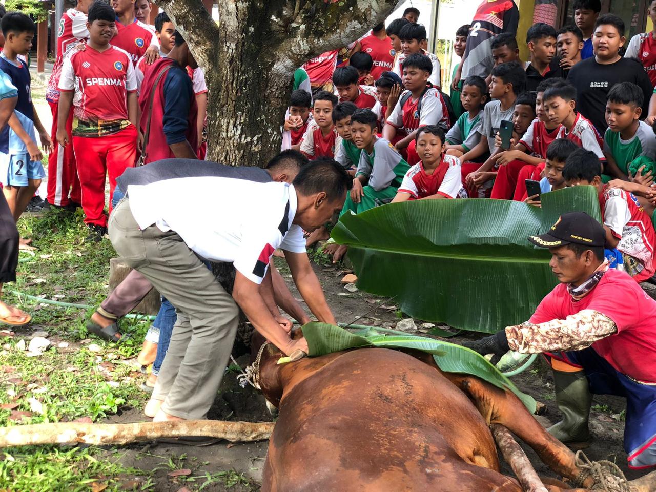 KELUARGA SPENMA IDUL ADHA BERQURBAN SAPI KELUARGA SPENMA IDUL ADHA BERQURBAN SAPI